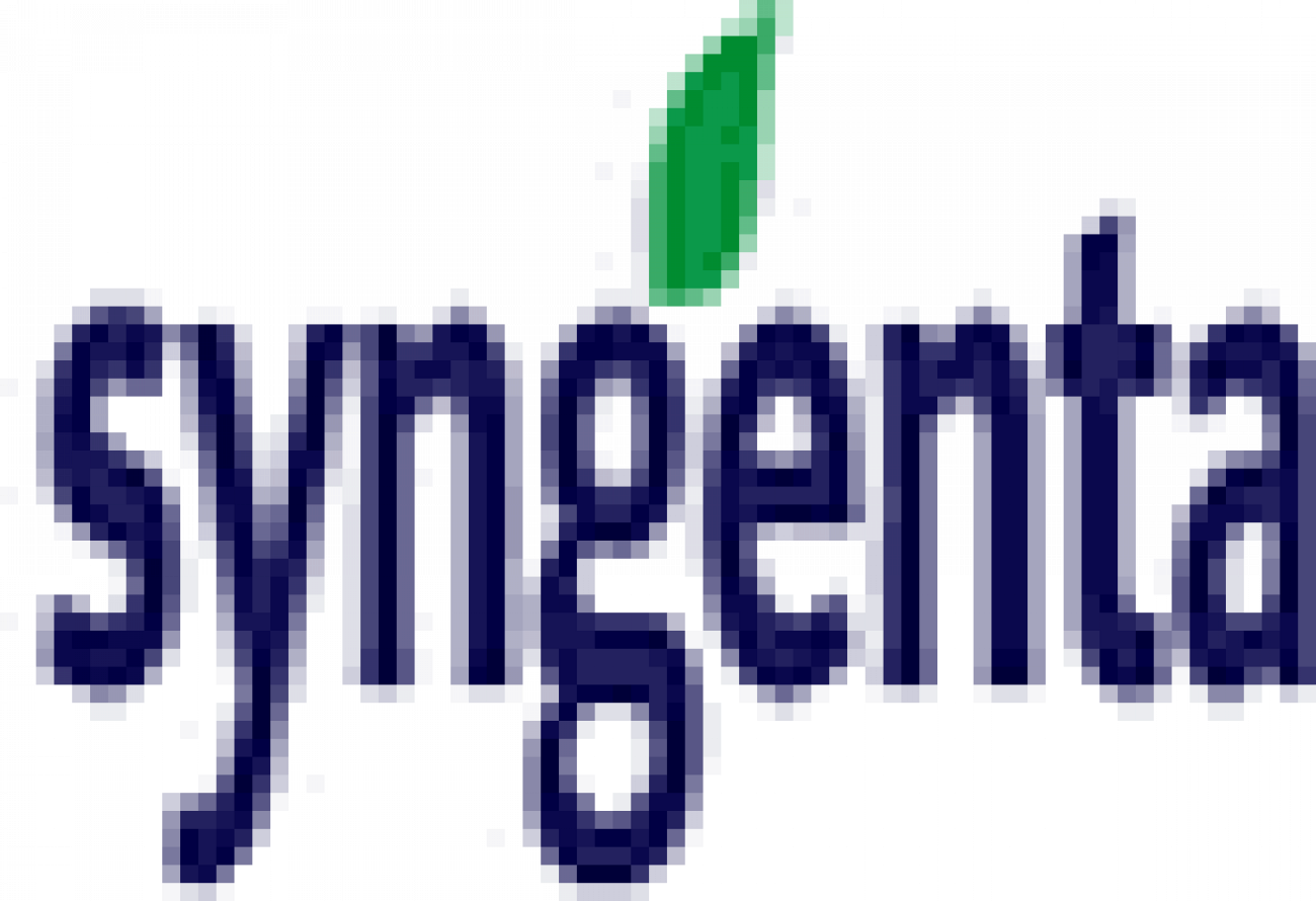 Placement Logo