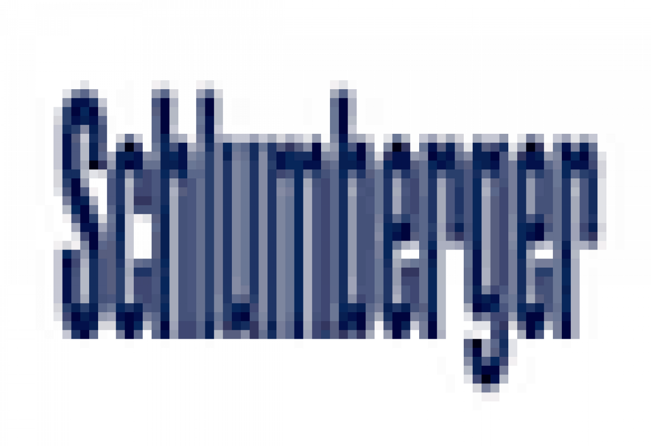 Placement Logo