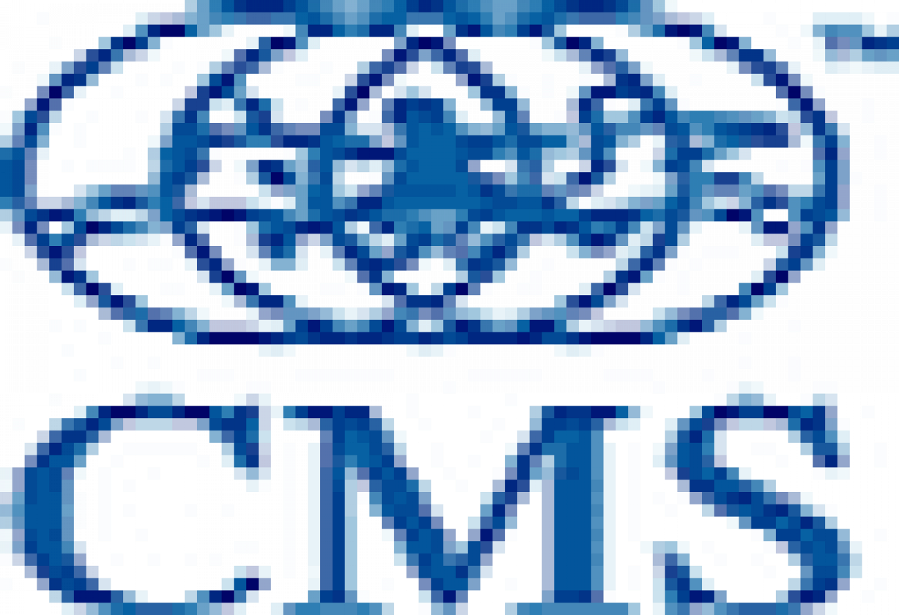 Placement Logo