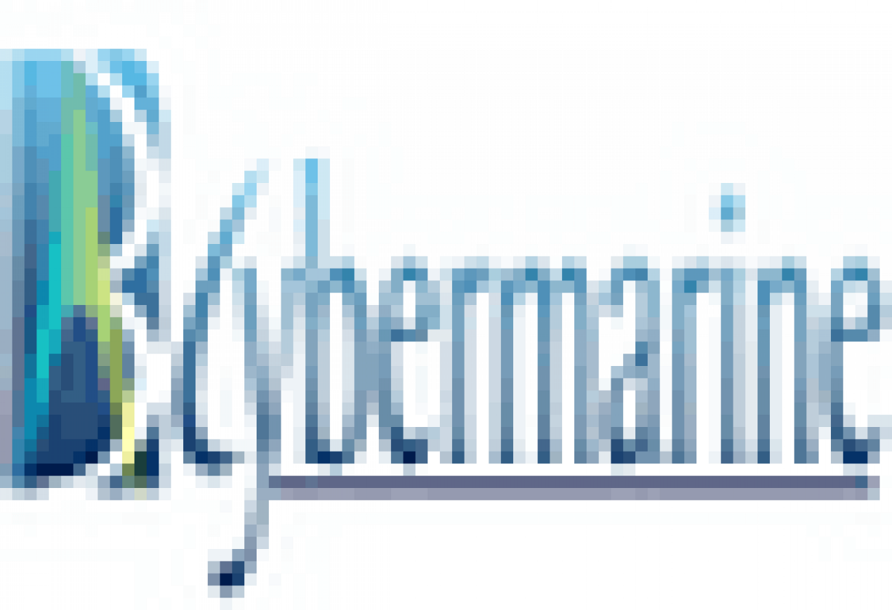 Placement Logo