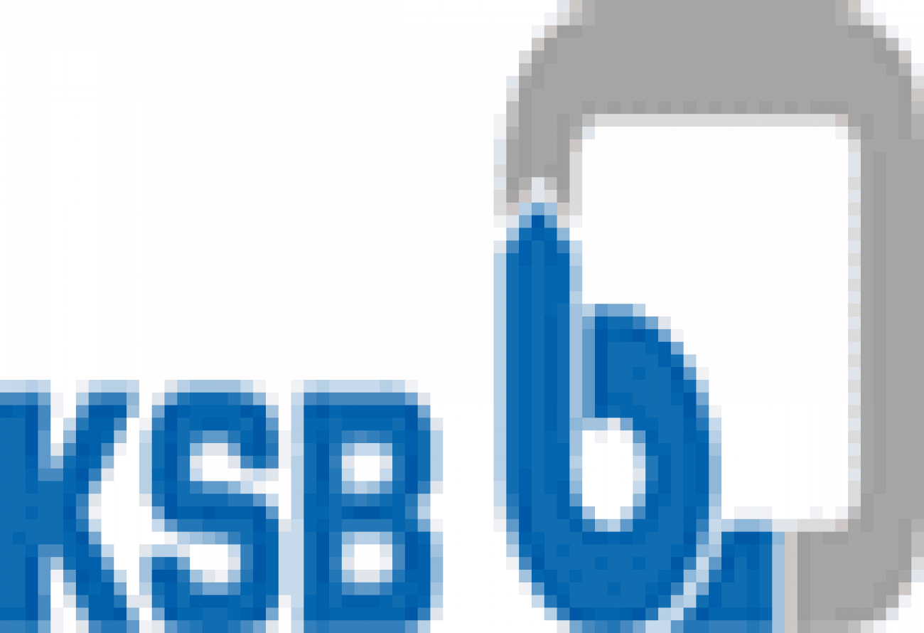 Placement Logo