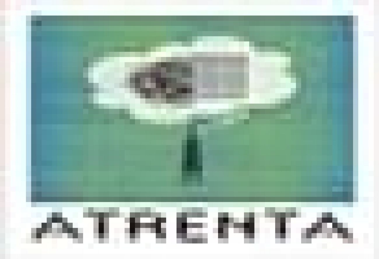 Placement Logo