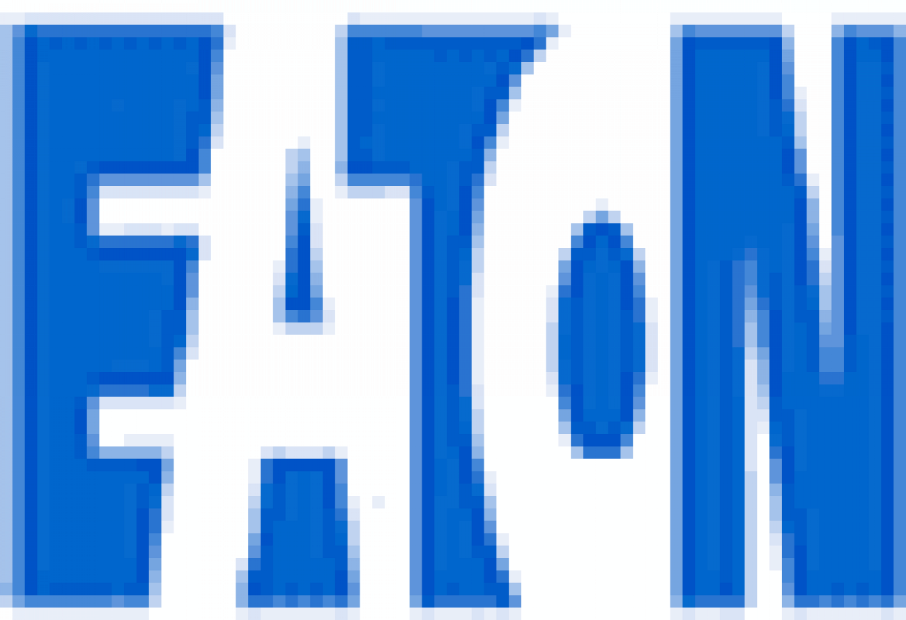 Placement Logo