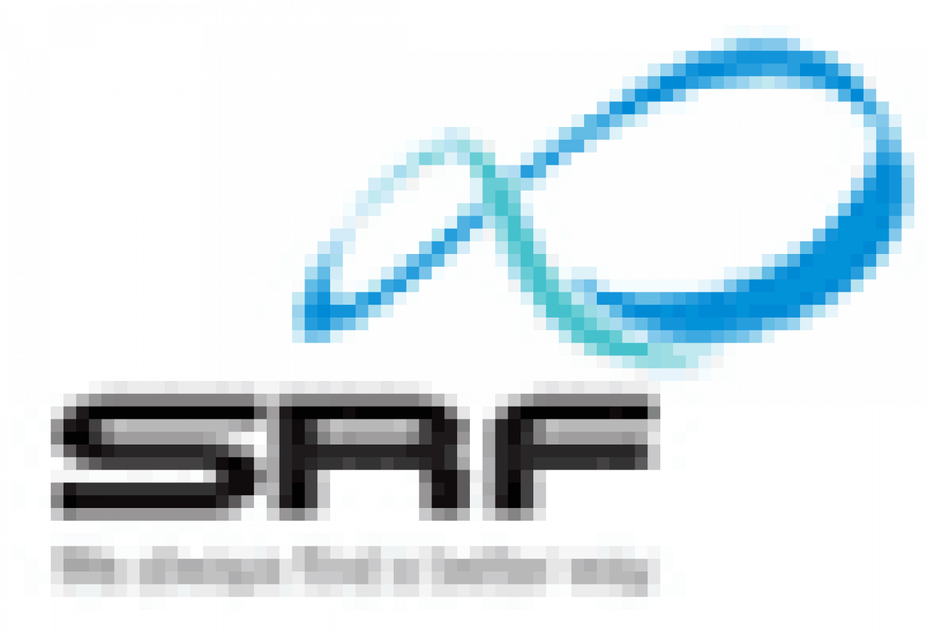 Placement Logo