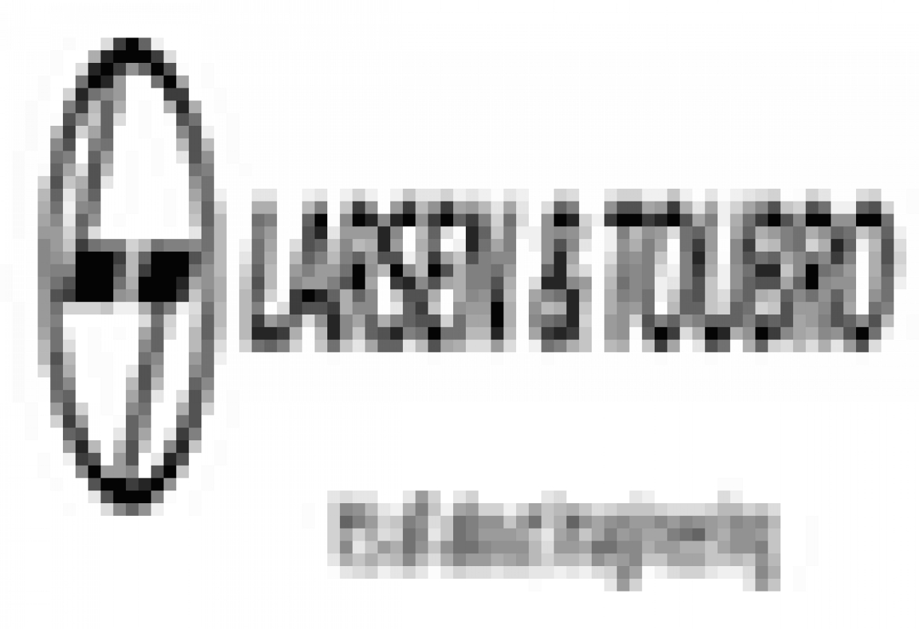 Placement Logo