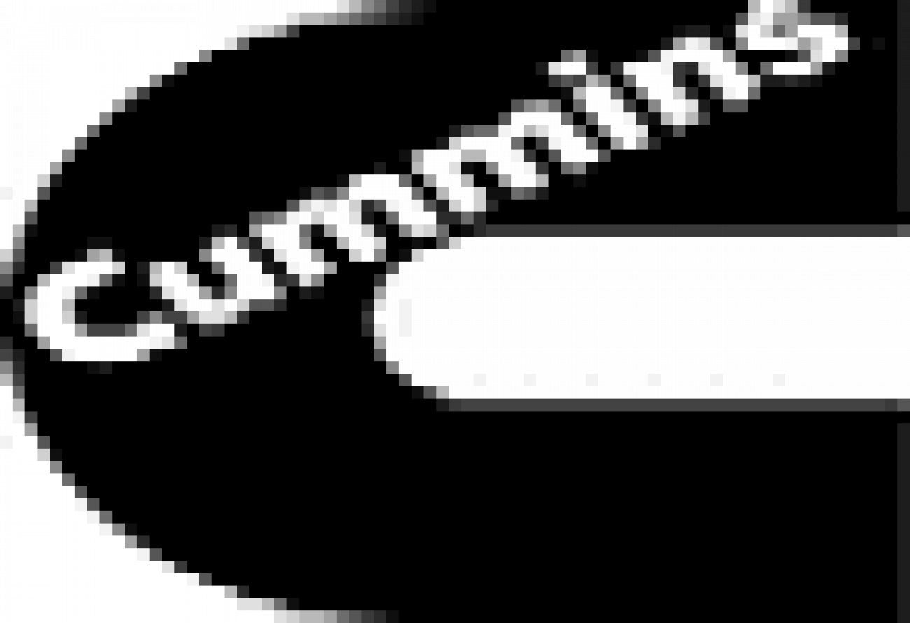 Placement Logo
