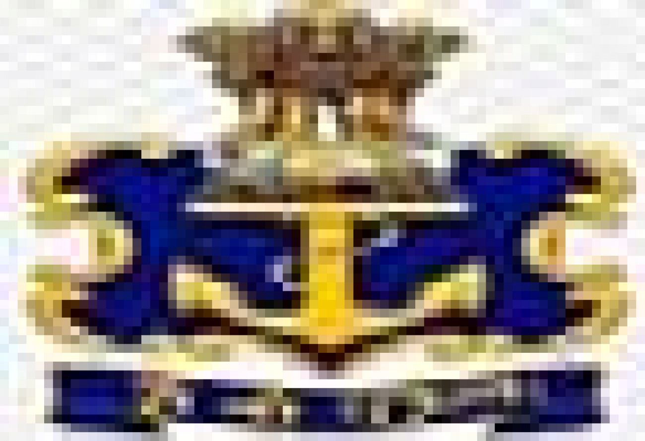 Placement Logo