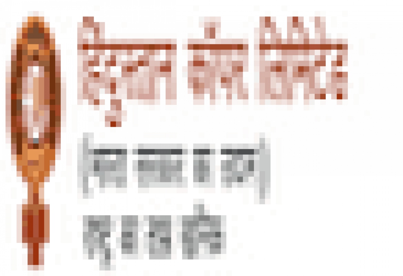 Placement Logo