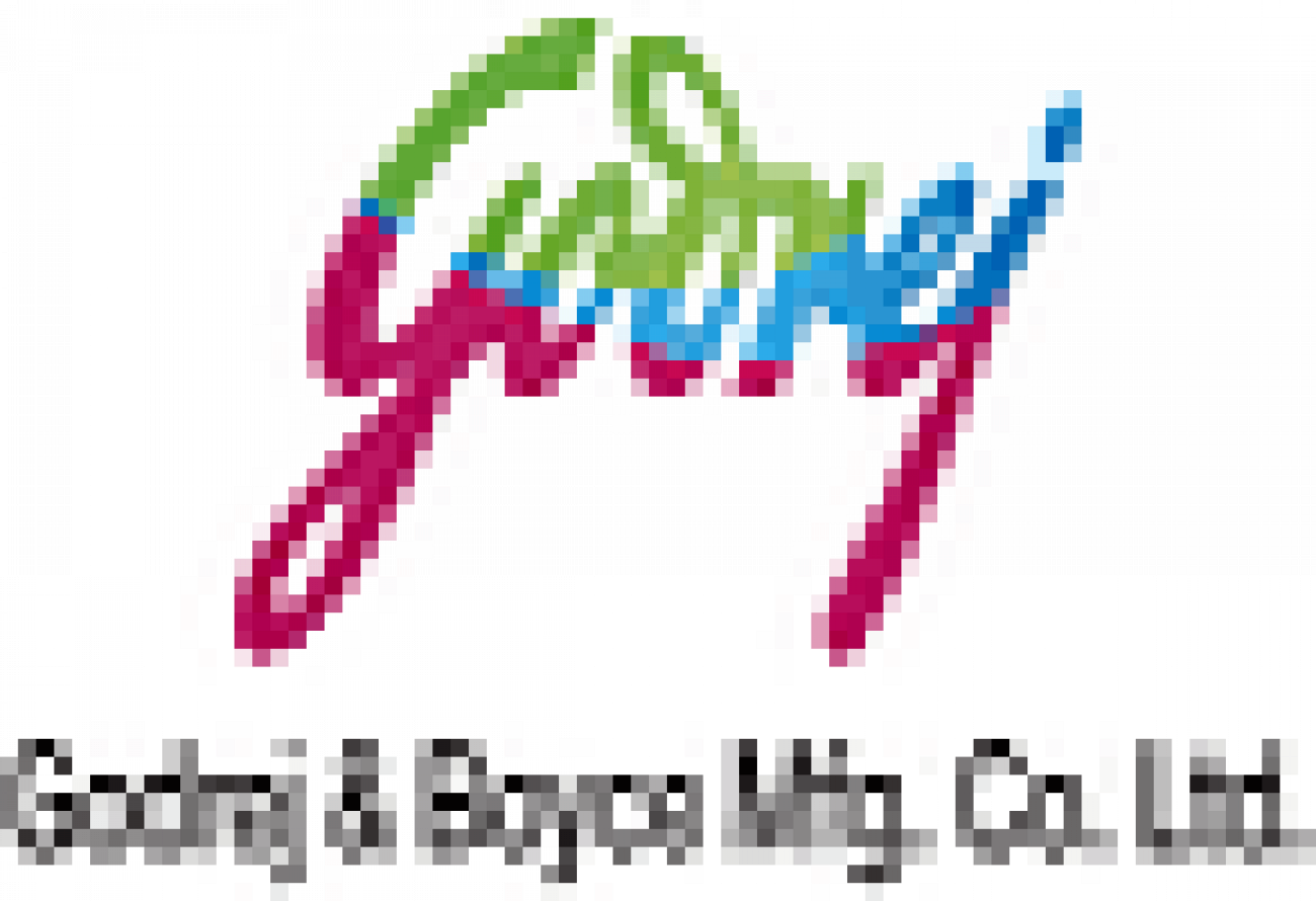 Placement Logo