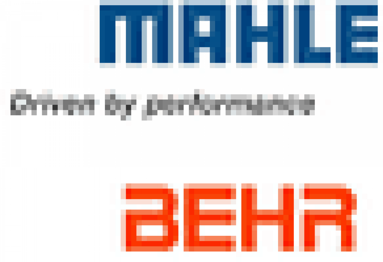 Placement Logo